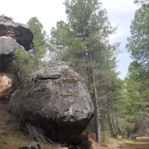 Lee más sobre el artículo Ruta Rambla del Avellano